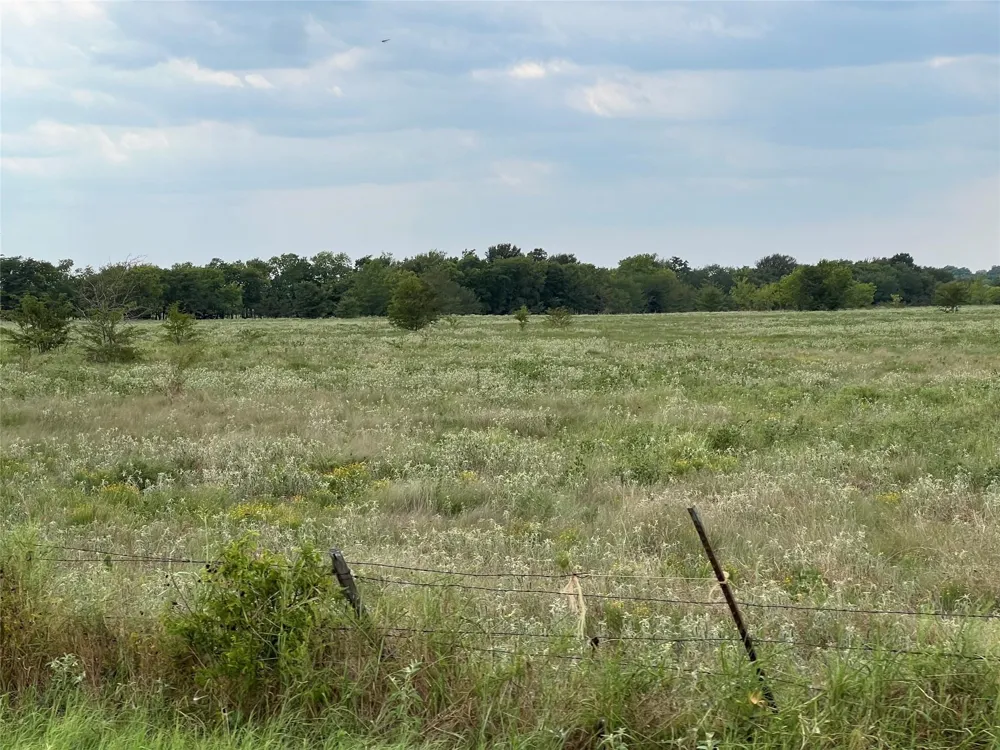 53 Fm-513 Campbell, TX 75422