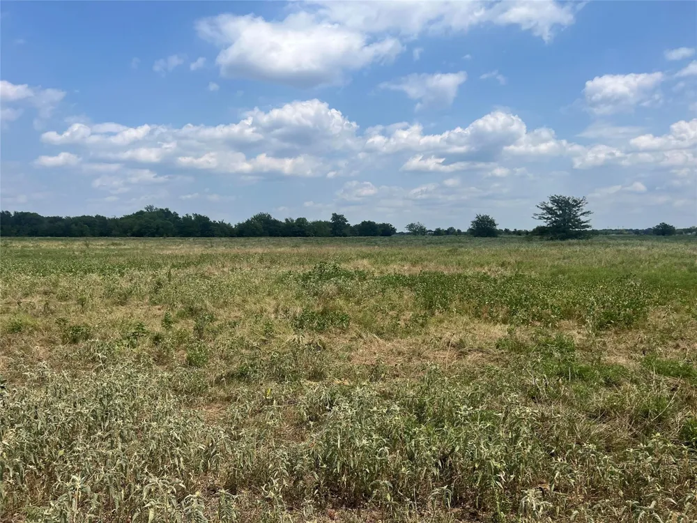 53 Fm-513 Campbell, TX 75422