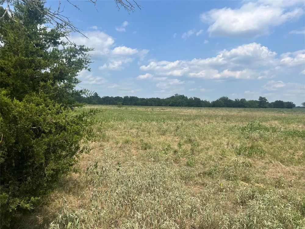 53 Fm-513 Campbell, TX 75422