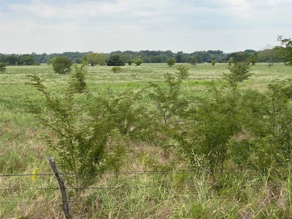 22 Fm-513 Campbell, TX 75422