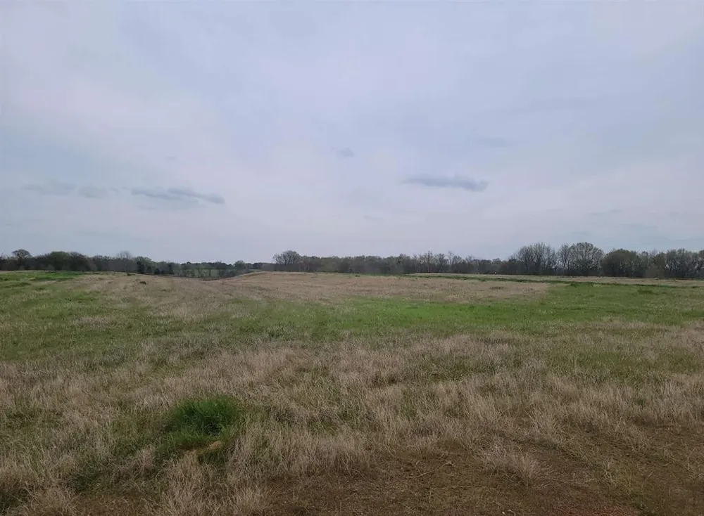 CR 2214 Pittsburg, TX 75686