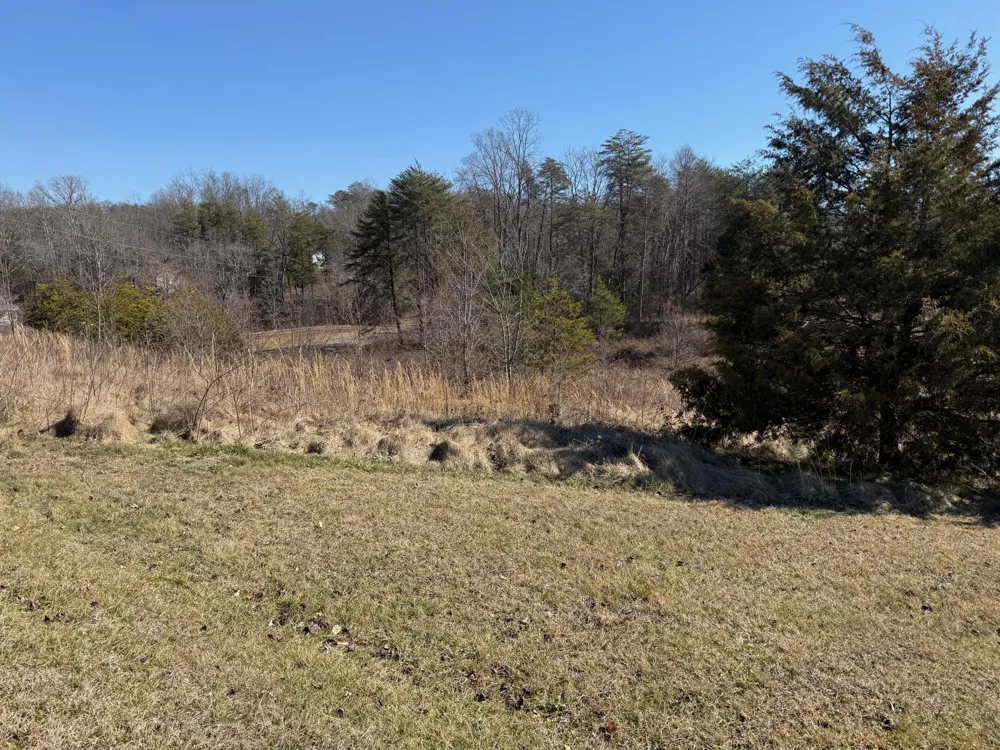 7 Crockett Lake Drive Crossville, TN 38572