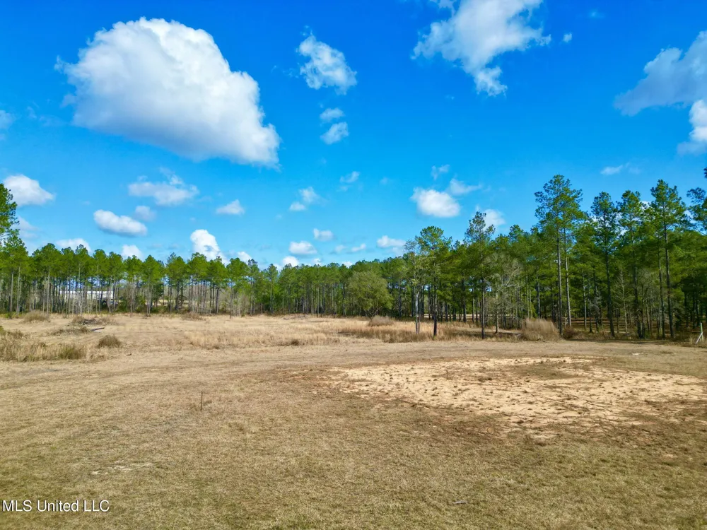 35 Thompson Lane Carriere, MS 39426