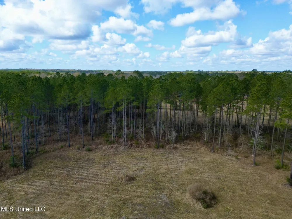 35 Thompson Lane Carriere, MS 39426