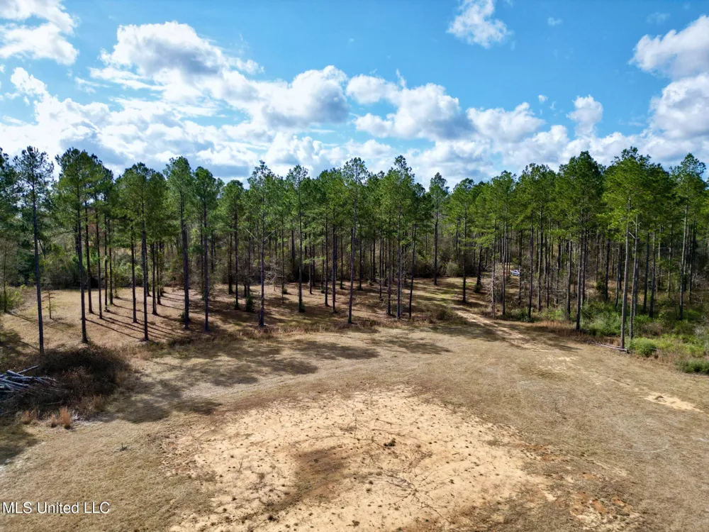 35 Thompson Lane Carriere, MS 39426