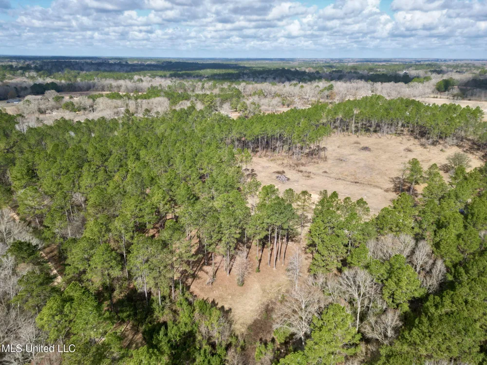 35 Thompson Lane Carriere, MS 39426