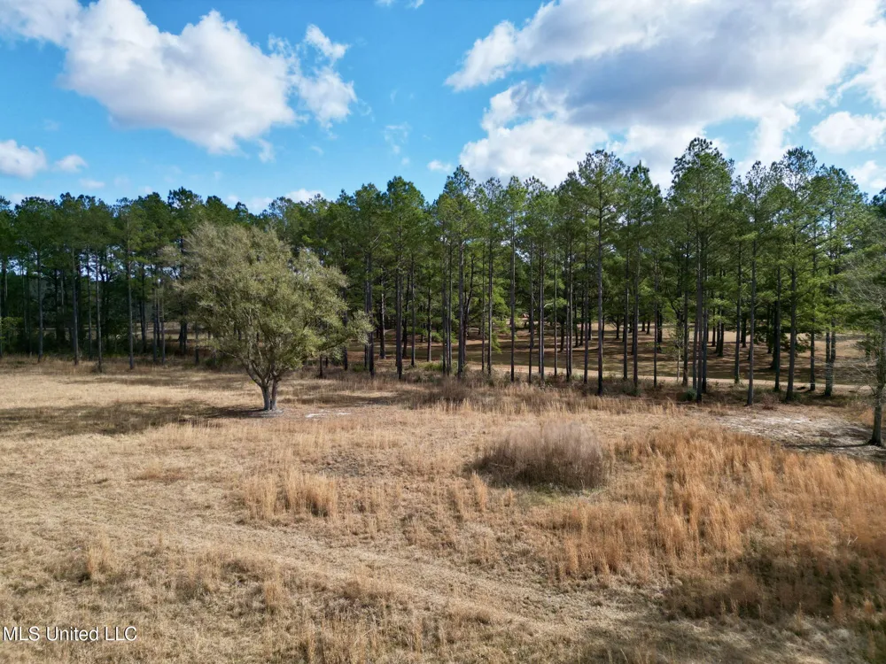 35 Thompson Lane Carriere, MS 39426