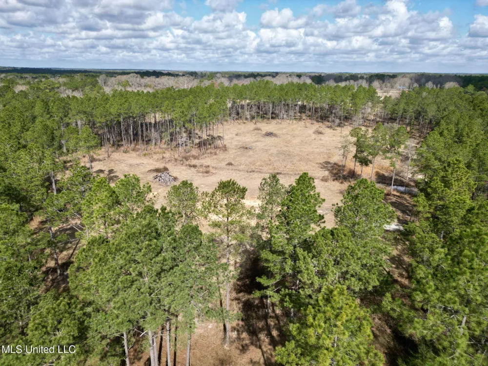 35 Thompson Lane Carriere, MS 39426