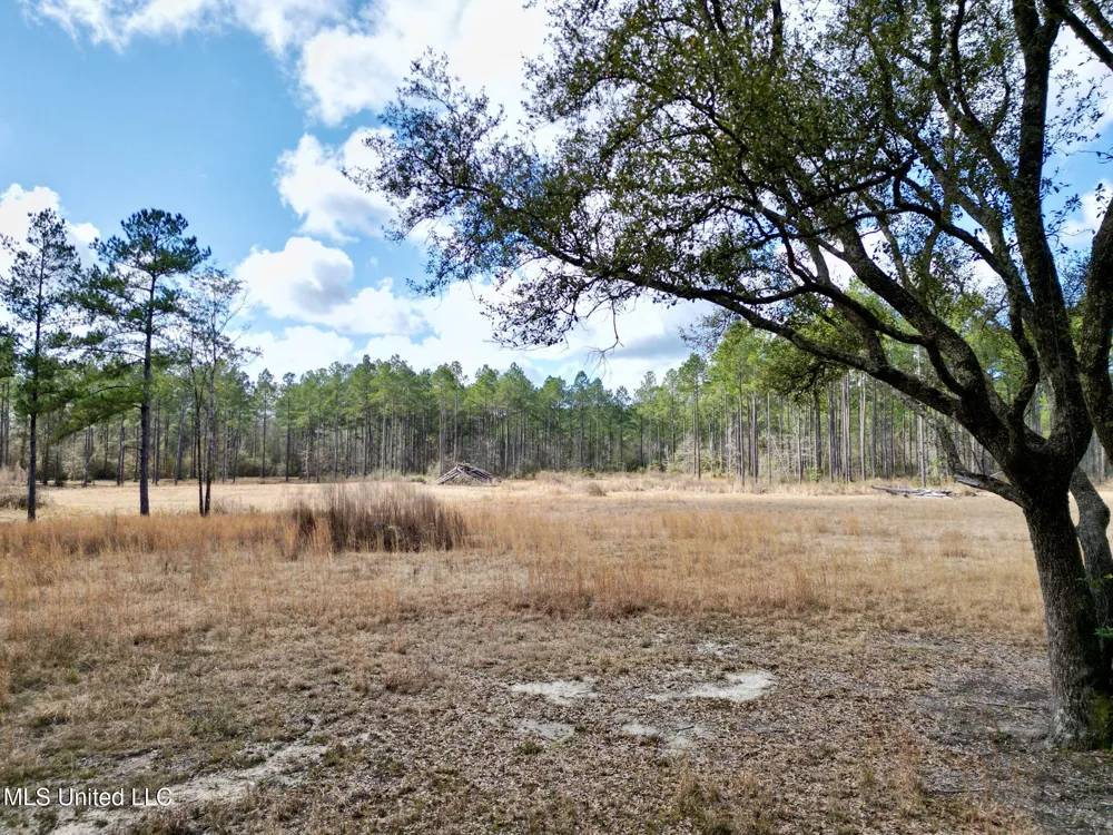 35 Thompson Lane Carriere, MS 39426