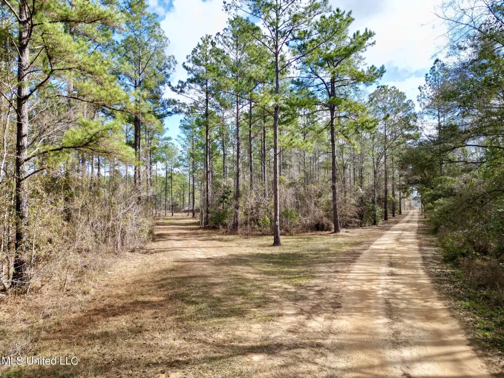 35 Thompson Lane Carriere, MS 39426