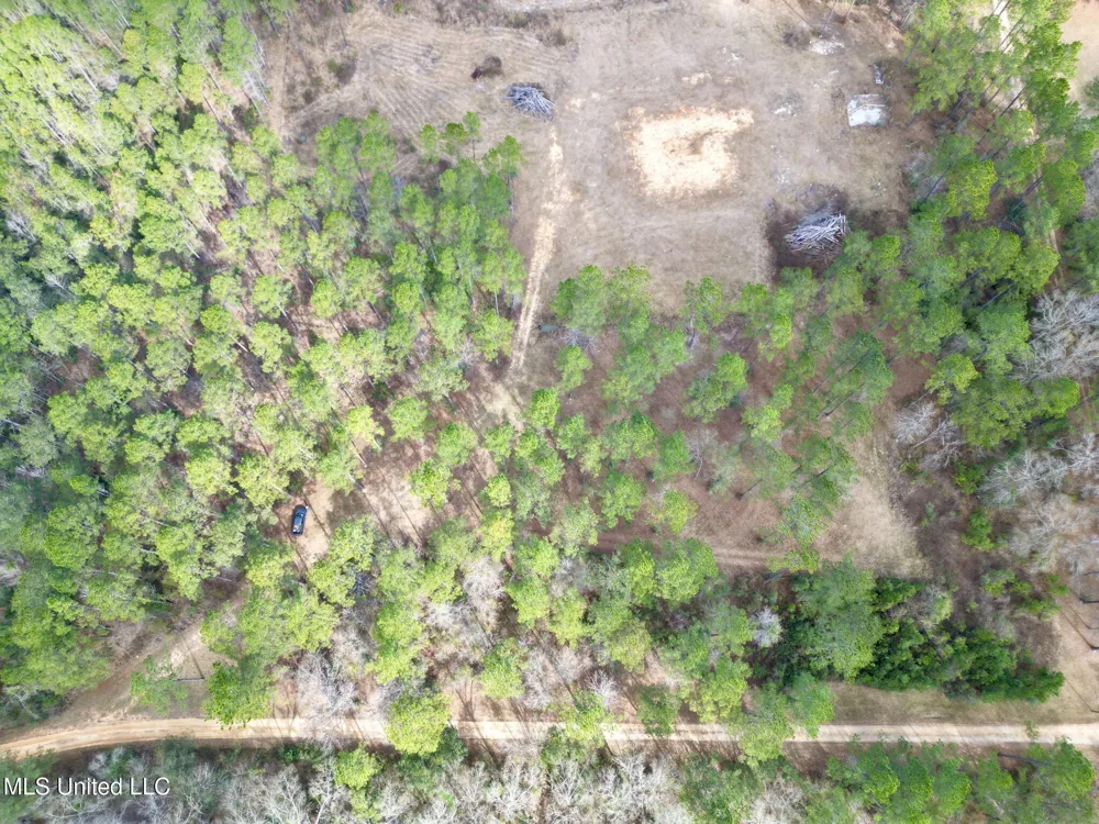 35 Thompson Lane Carriere, MS 39426