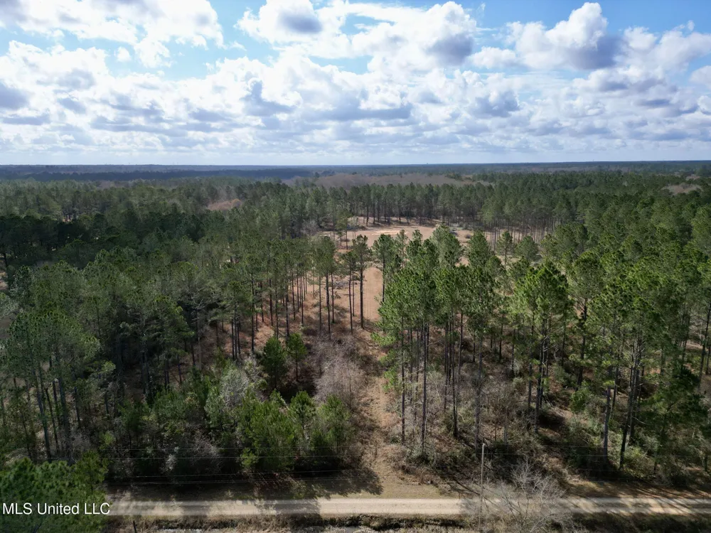 35 Thompson Lane Carriere, MS 39426