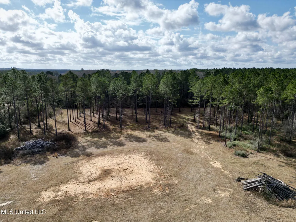 35 Thompson Lane Carriere, MS 39426