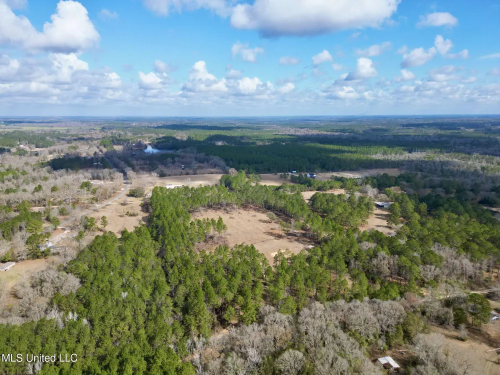 35 Thompson Lane Carriere, MS 39426