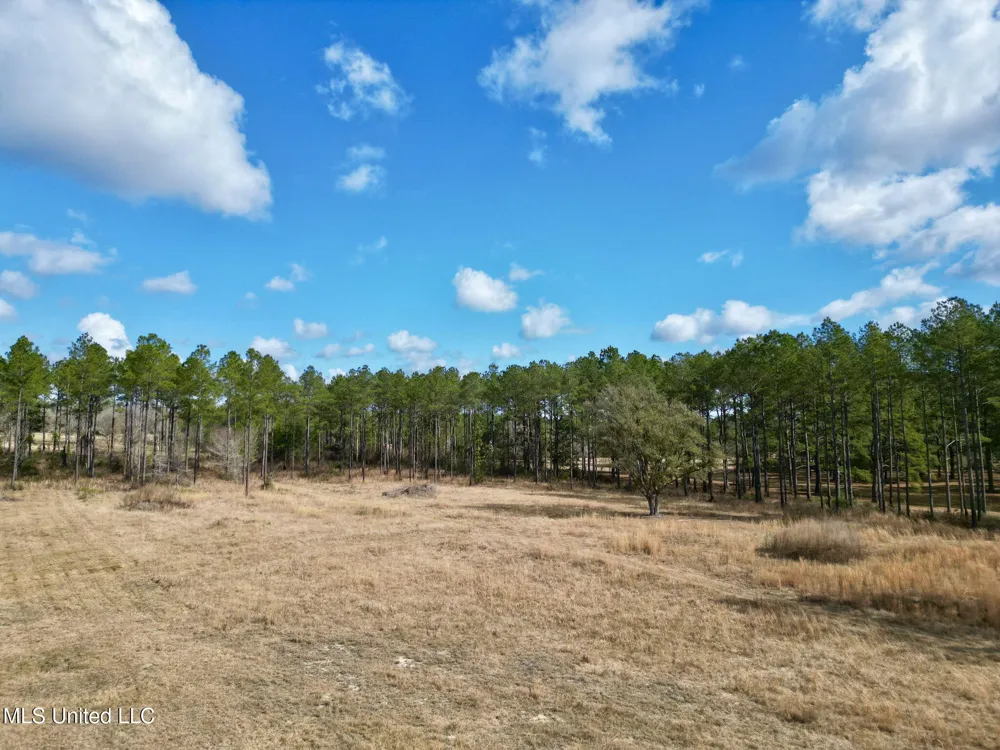 35 Thompson Lane Carriere, MS 39426