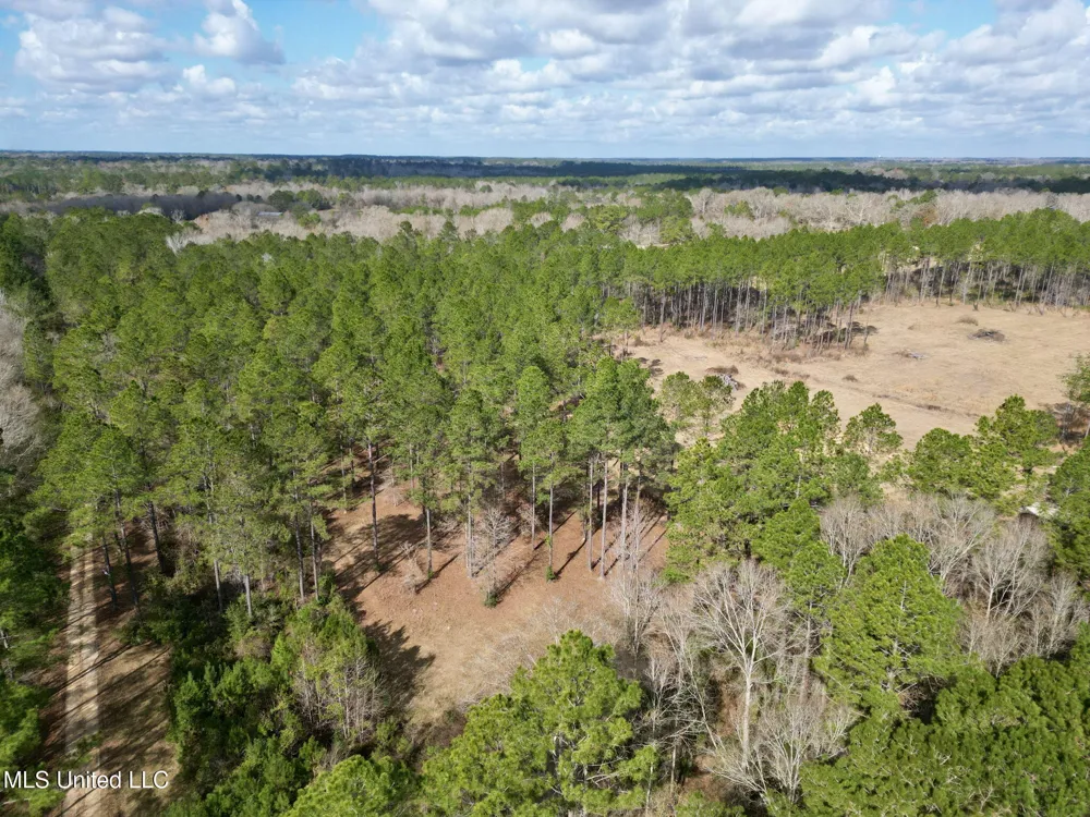 35 Thompson Lane Carriere, MS 39426