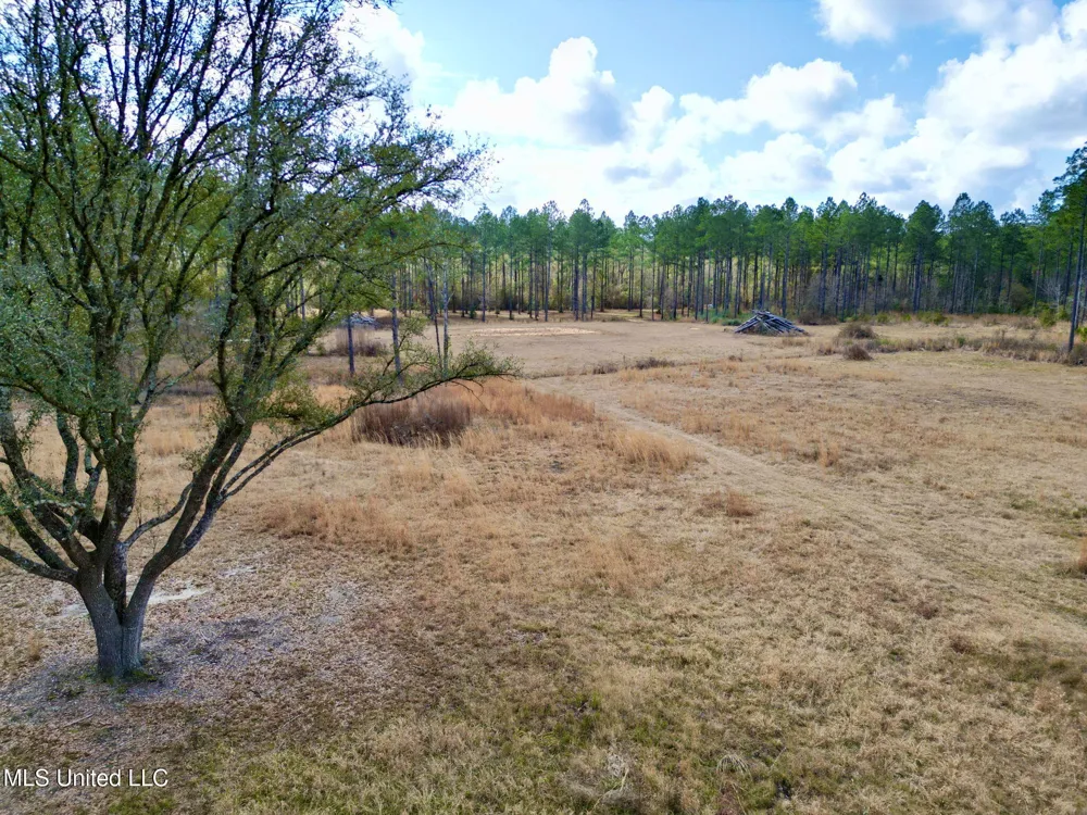 35 Thompson Lane Carriere, MS 39426