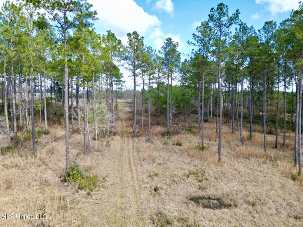 35 Thompson Lane Carriere, MS 39426