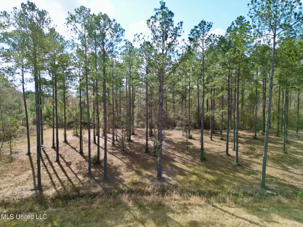 35 Thompson Lane Carriere, MS 39426