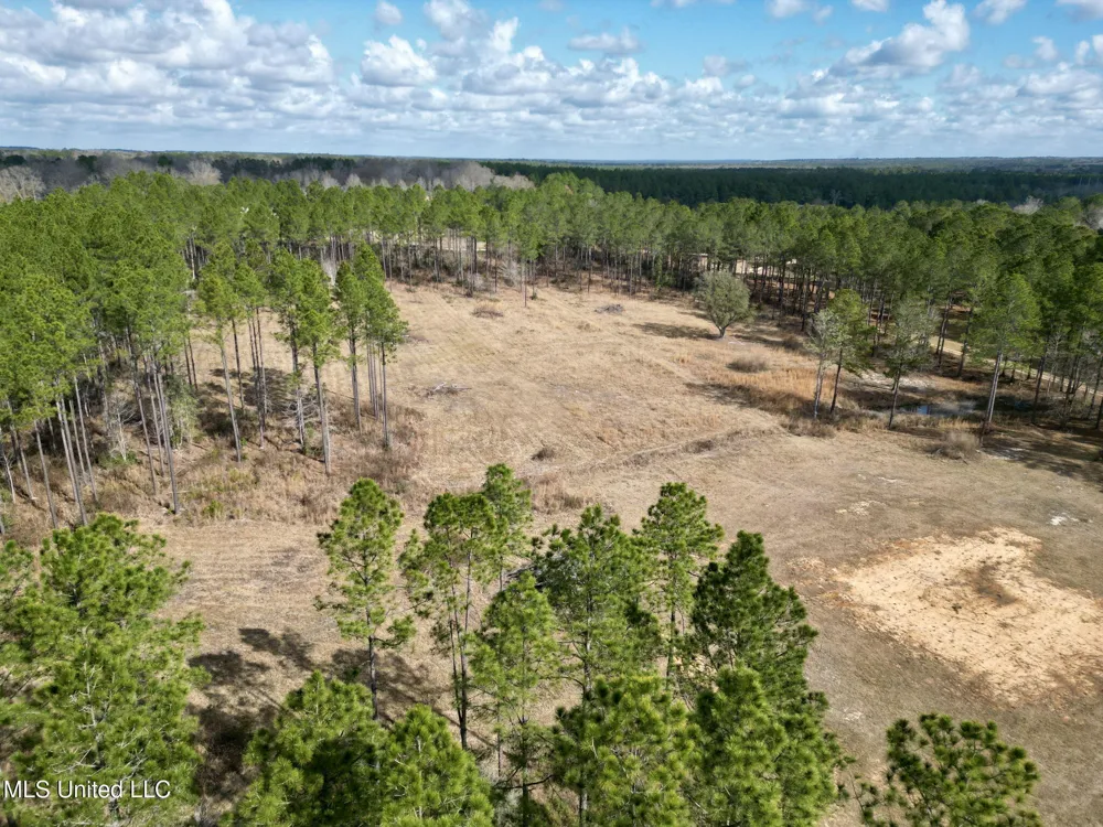 35 Thompson Lane Carriere, MS 39426