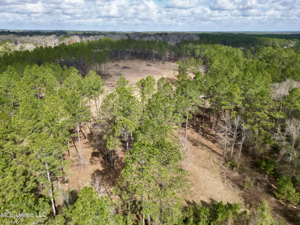35 Thompson Lane Carriere, MS 39426