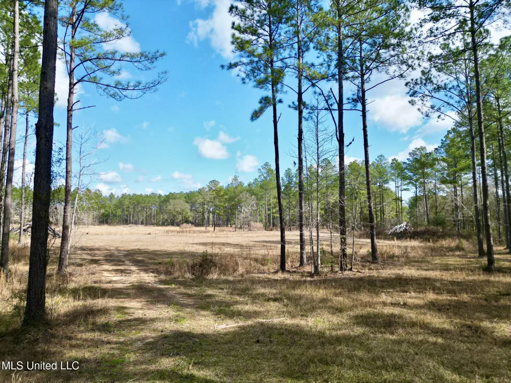35 Thompson Lane Carriere, MS 39426