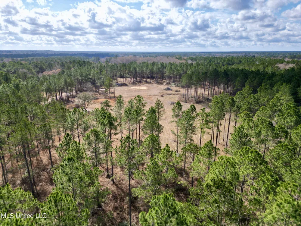 35 Thompson Lane Carriere, MS 39426