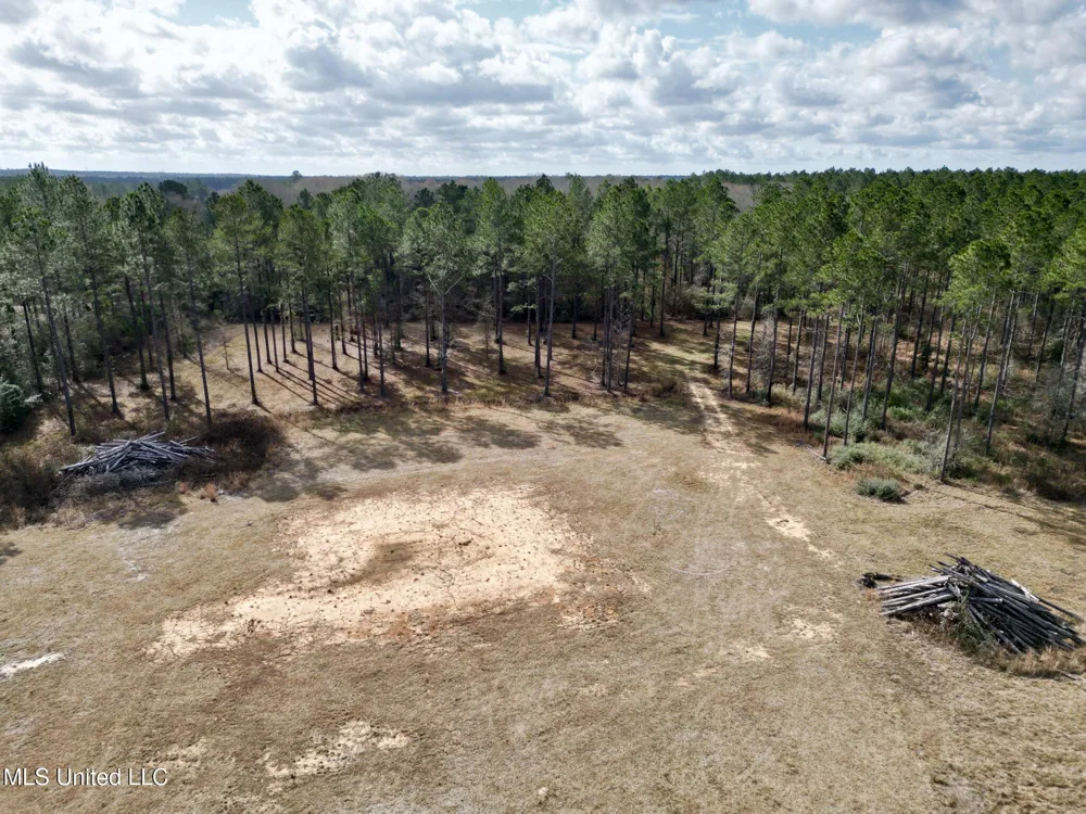 35 Thompson Lane Carriere, MS 39426
