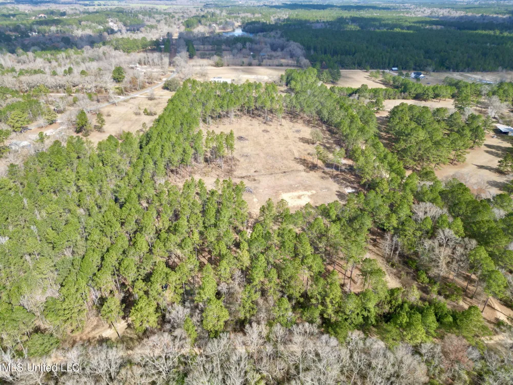 35 Thompson Lane Carriere, MS 39426