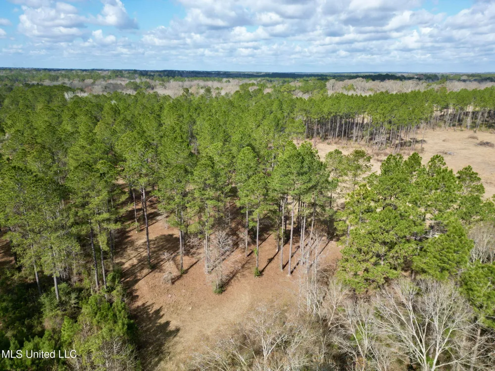 35 Thompson Lane Carriere, MS 39426