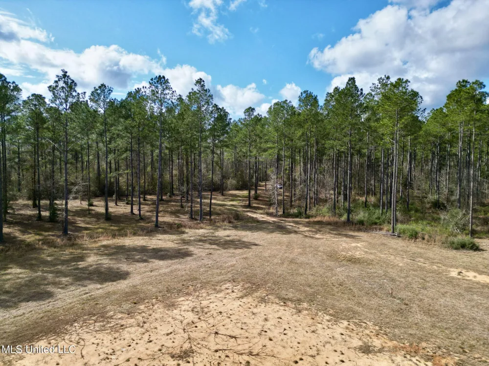 35 Thompson Lane Carriere, MS 39426