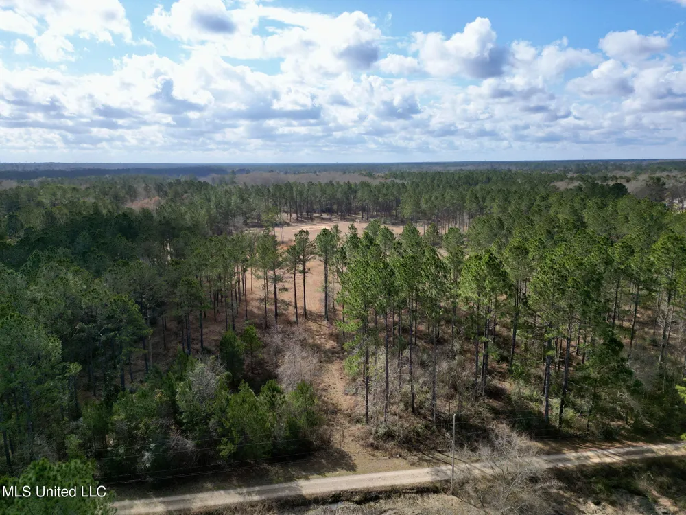 35 Thompson Lane Carriere, MS 39426