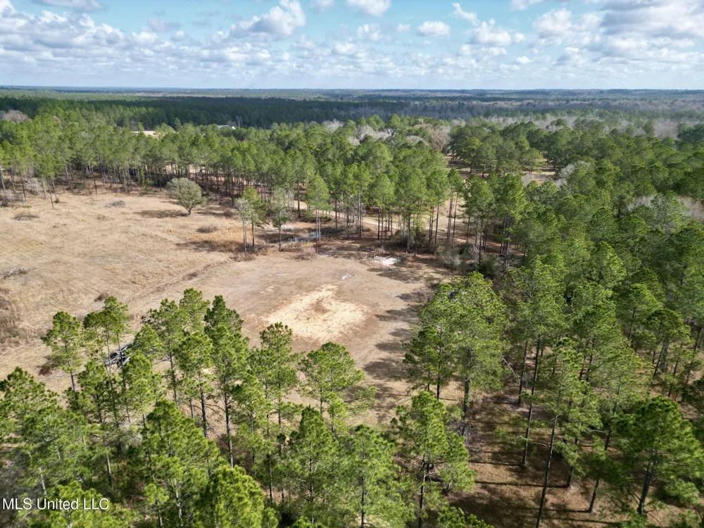 35 Thompson Lane Carriere, MS 39426