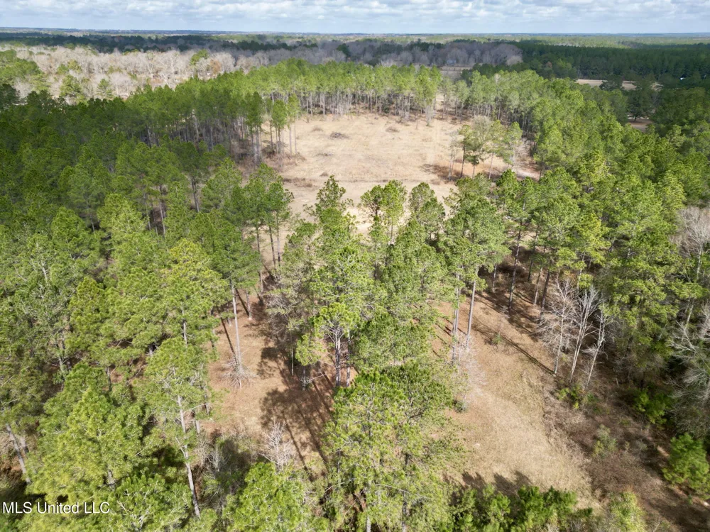 35 Thompson Lane Carriere, MS 39426