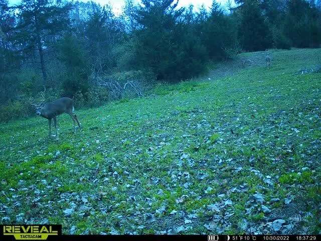 5100 Long Lake Road Reading, MI 49274