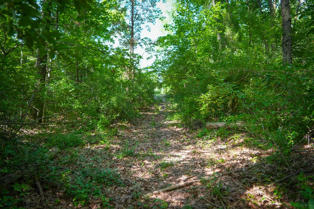 5100 Long Lake Road Reading, MI 49274