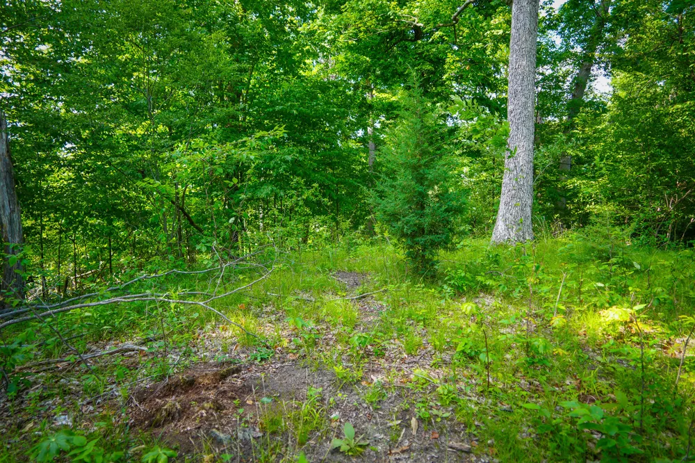 5100 Long Lake Road Reading, MI 49274