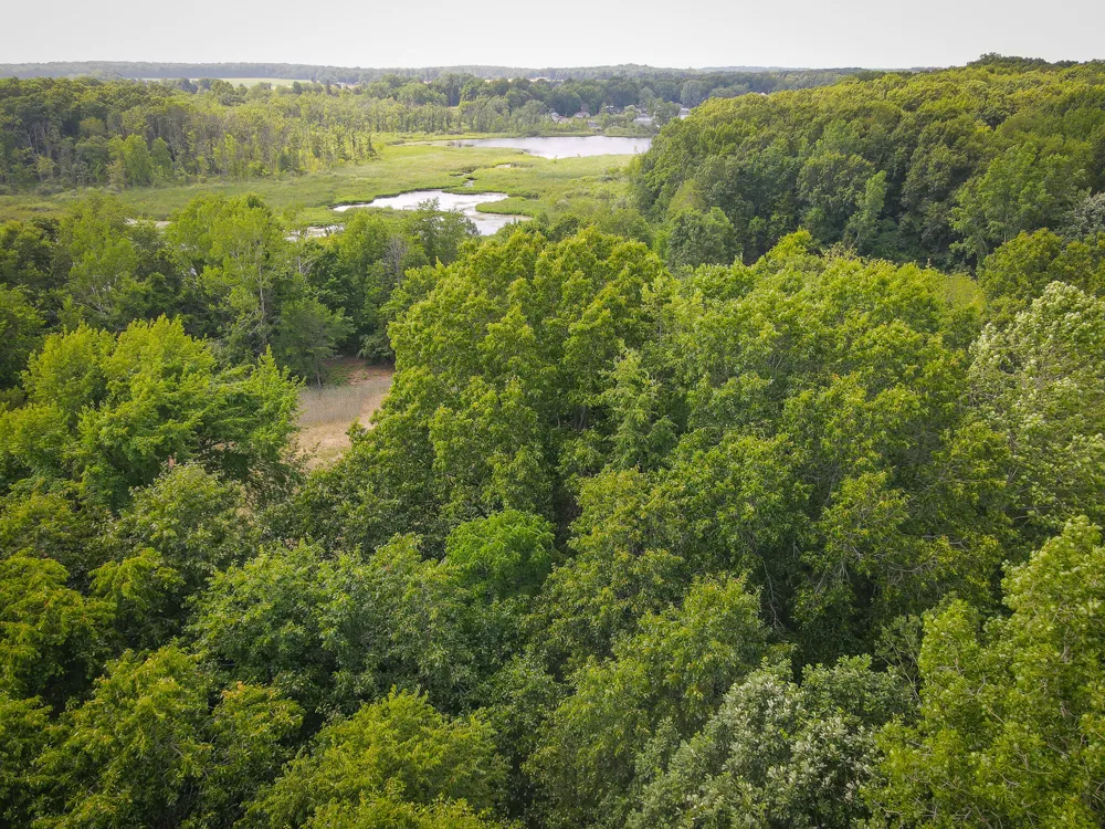 5100 Long Lake Road Reading, MI 49274