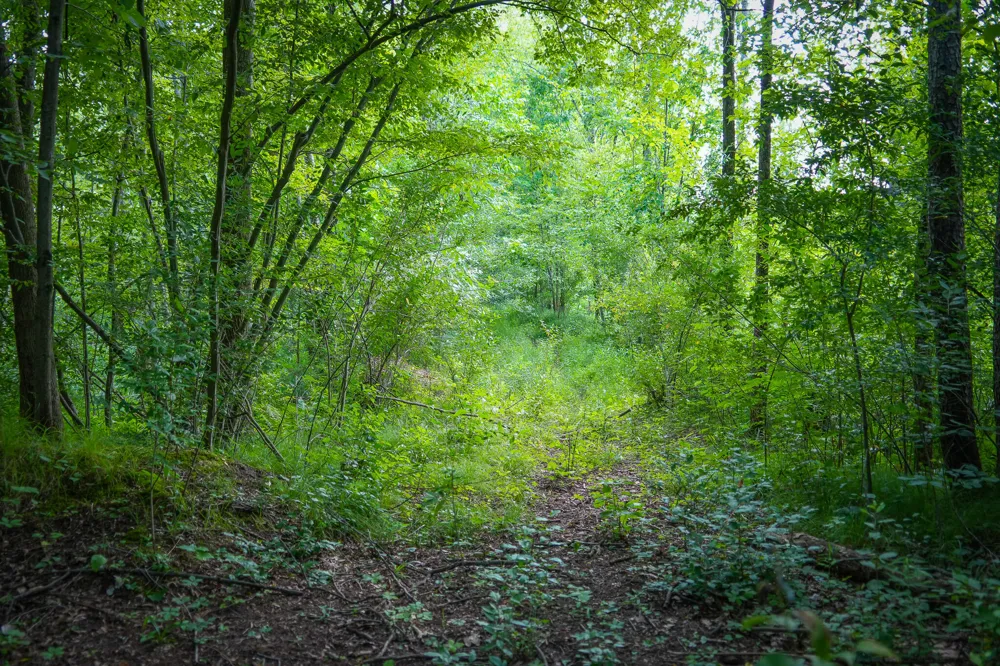 5100 Long Lake Road Reading, MI 49274