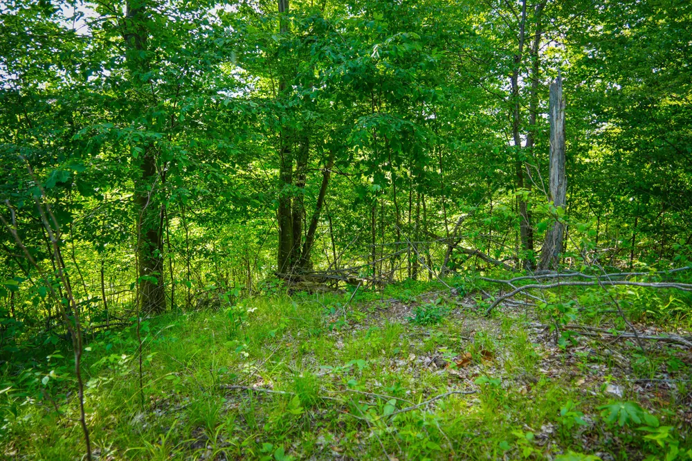 5100 Long Lake Road Reading, MI 49274