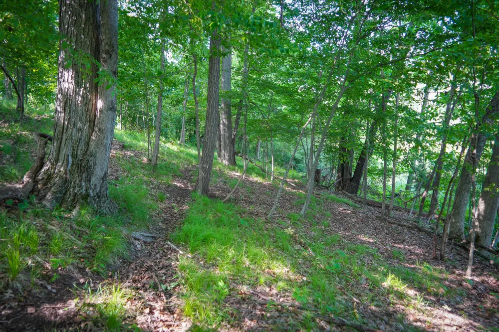 5100 Long Lake Road Reading, MI 49274