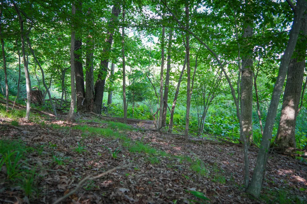 5100 Long Lake Road Reading, MI 49274