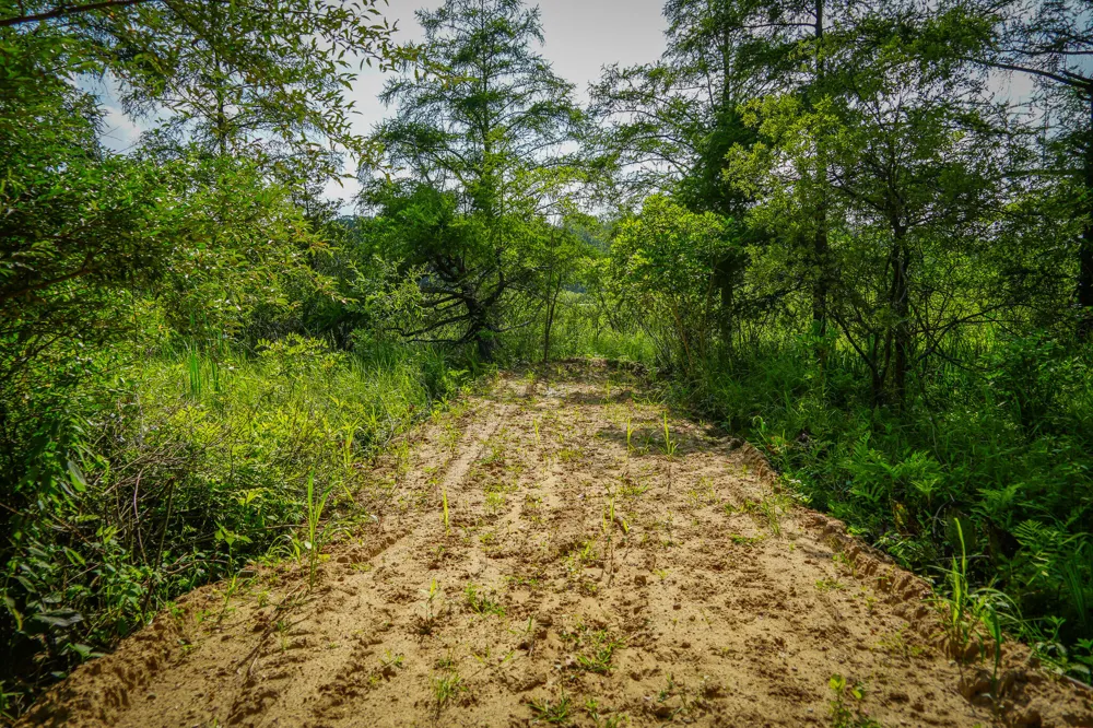 5100 Long Lake Road Reading, MI 49274