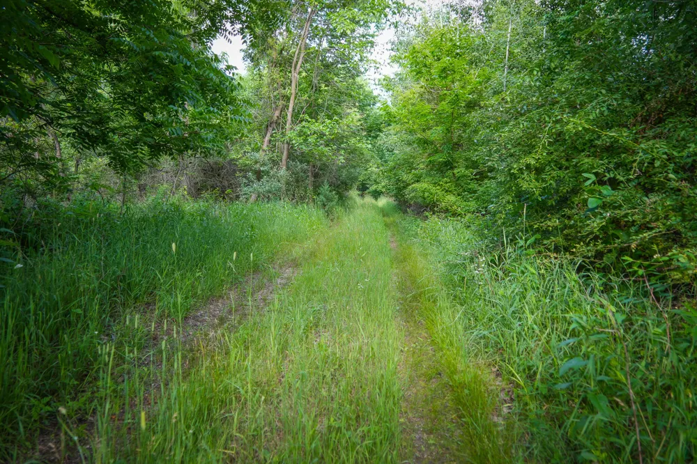 5100 Long Lake Road Reading, MI 49274