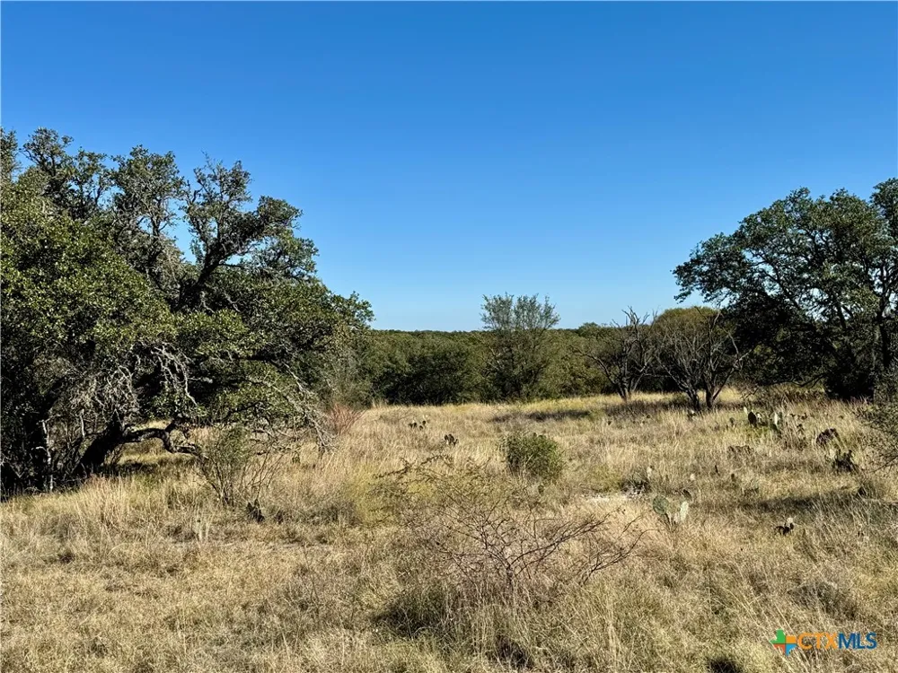 37 Buck Run Rd. San Saba, TX 76877