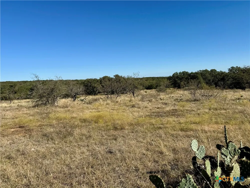 37 Buck Run Rd. San Saba, TX 76877