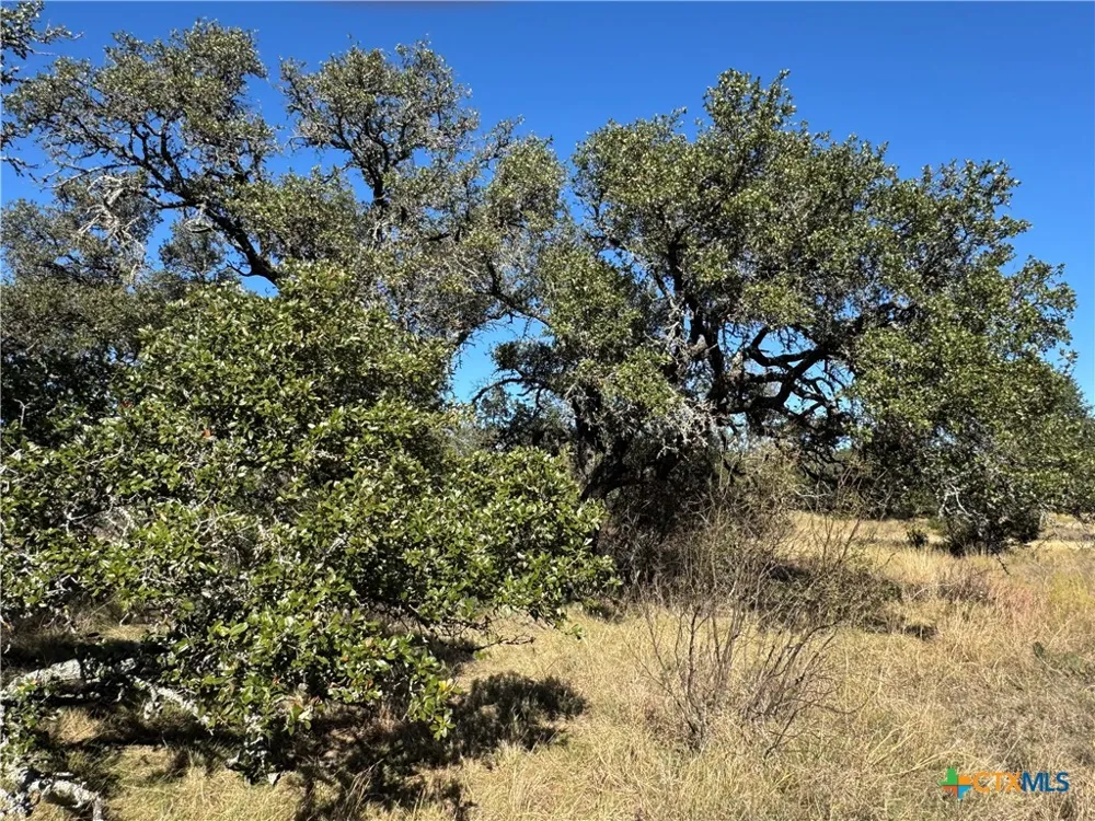 37 Buck Run Rd. San Saba, TX 76877