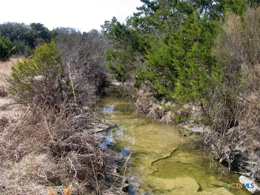 FM 2842 Hamilton, TX 76531