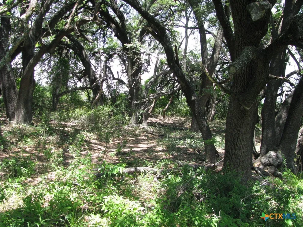 FM 2842 Hamilton, TX 76531