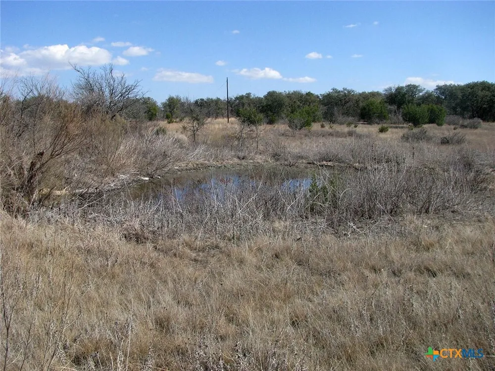 FM 2842 Hamilton, TX 76531